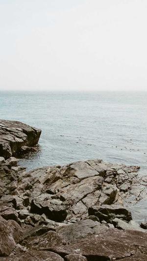 汉青书半霍去病黑料截图3